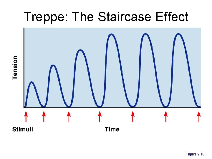 Treppe: The Staircase Effect Figure 9. 18 Treppe: The Staircase Effect Figure 9. 18