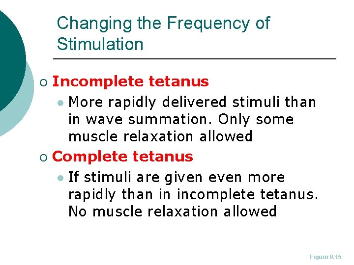 Changing the Frequency of Stimulation Incomplete tetanus l More rapidly delivered stimuli than in