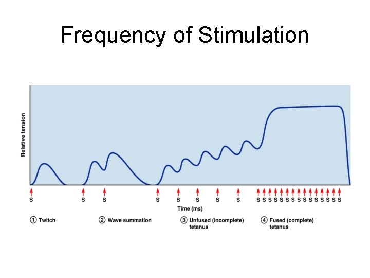 Frequency of Stimulation 