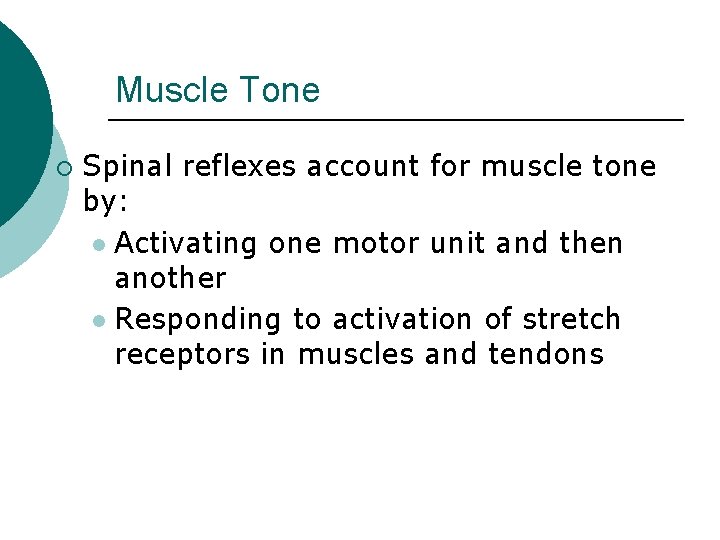 Muscle Tone ¡ Spinal reflexes account for muscle tone by: l Activating one motor