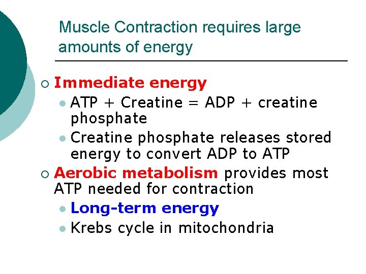 Muscle Contraction requires large amounts of energy Immediate energy l ATP + Creatine =