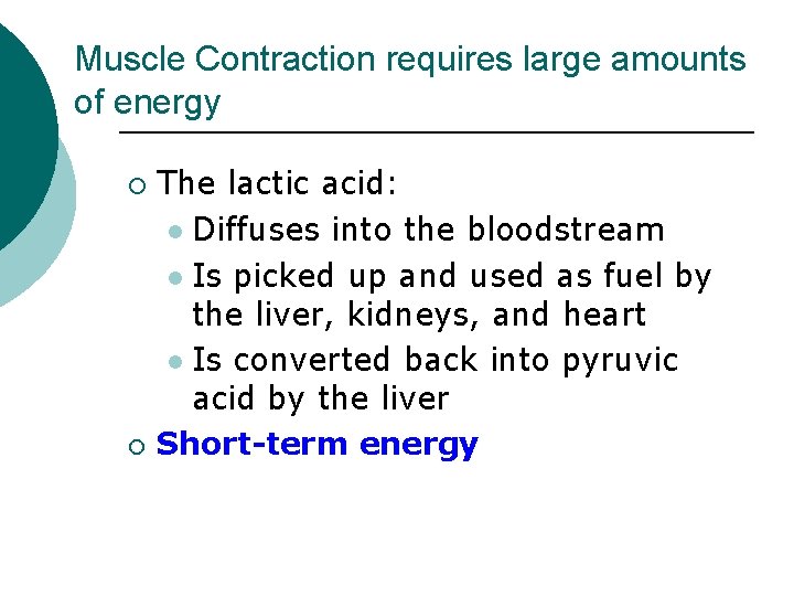 Muscle Contraction requires large amounts of energy ¡ ¡ The lactic acid: l Diffuses Muscle Contraction requires large amounts of energy ¡ ¡ The lactic acid: l Diffuses