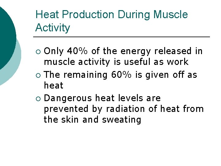 Heat Production During Muscle Activity Only 40% of the energy released in muscle activity Heat Production During Muscle Activity Only 40% of the energy released in muscle activity