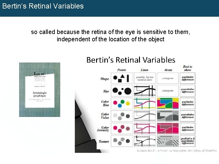 Bertin’s Retinal Variables so called because the retina of the eye is sensitive to