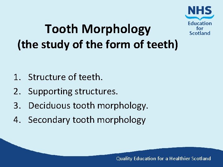 Tooth Morphology (the study of the form of teeth) 1. 2. 3. 4. Structure