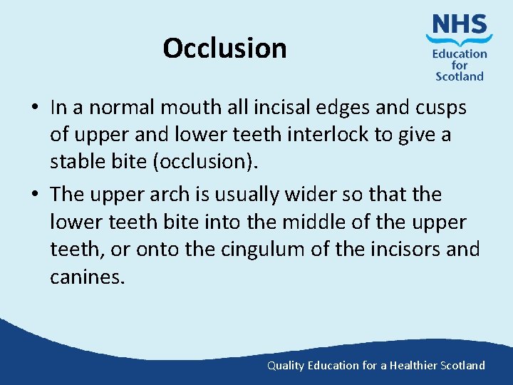 Occlusion • In a normal mouth all incisal edges and cusps of upper and