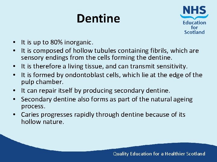 Dentine • It is up to 80% inorganic. • It is composed of hollow