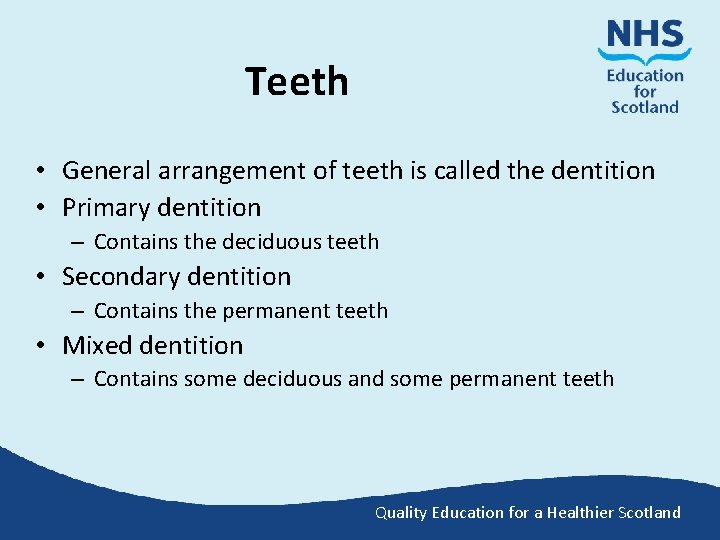 Teeth • General arrangement of teeth is called the dentition • Primary dentition –