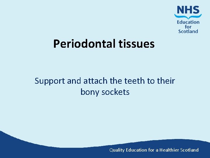 Periodontal tissues Support and attach the teeth to their bony sockets Quality Education for