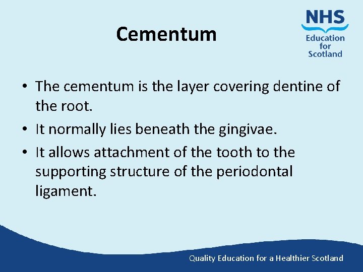 Cementum • The cementum is the layer covering dentine of the root. • It