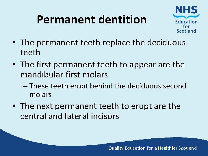 Permanent dentition • The permanent teeth replace the deciduous teeth • The first permanent