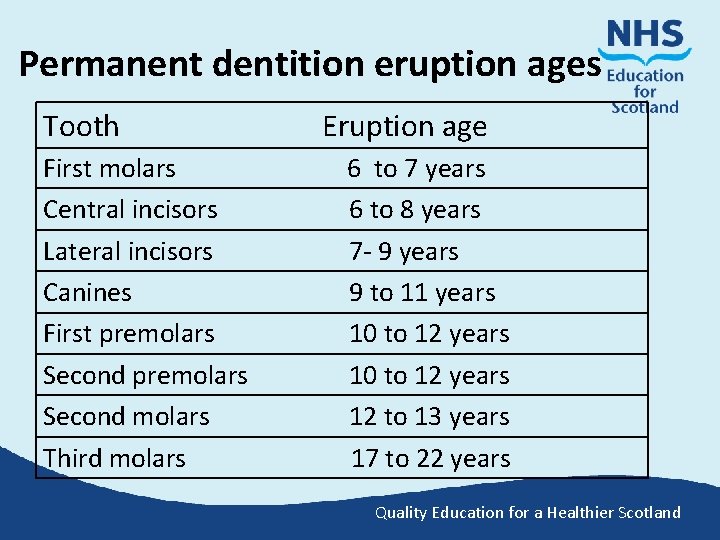 Permanent dentition eruption ages Tooth First molars Central incisors Lateral incisors Canines First premolars