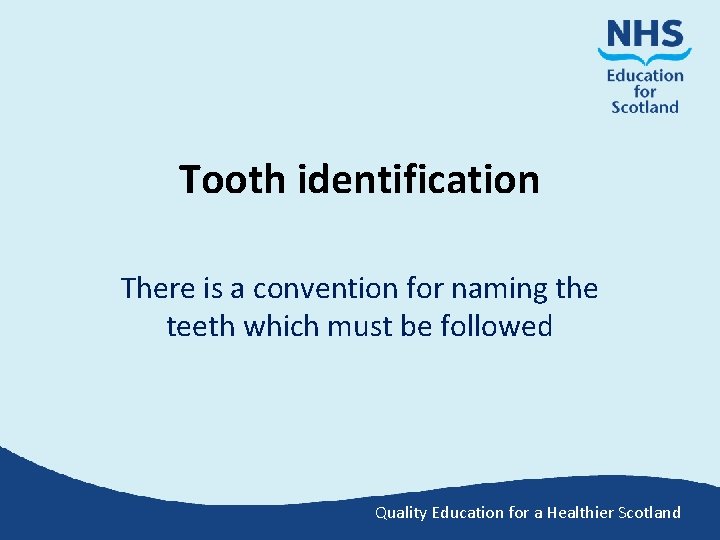 Tooth identification There is a convention for naming the teeth which must be followed