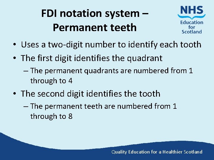 FDI notation system – Permanent teeth • Uses a two-digit number to identify each