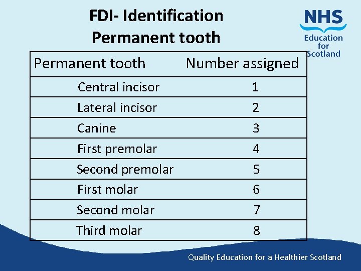 FDI- Identification Permanent tooth Central incisor Lateral incisor Canine First premolar Second premolar First