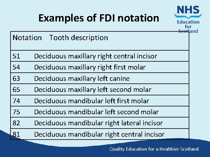 Examples of FDI notation Notation Tooth description 51 54 63 65 74 75 82