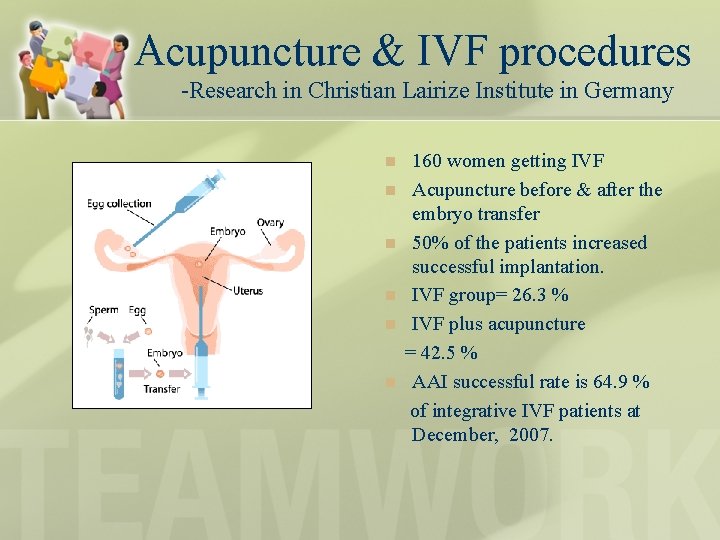 Integrative Fertility Enhancement Cathryn Hu Ph D O