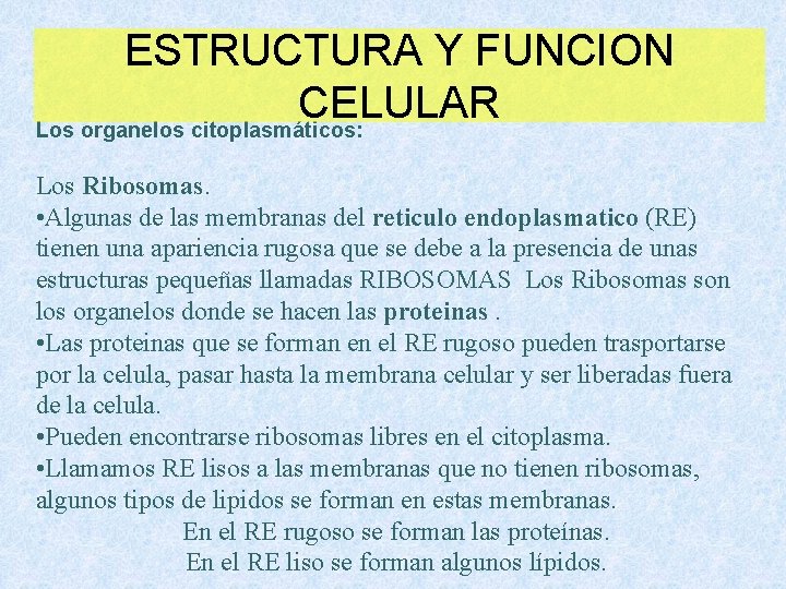 ESTRUCTURA Y FUNCION CELULAR Los organelos citoplasmáticos: Los Ribosomas. • Algunas de las membranas