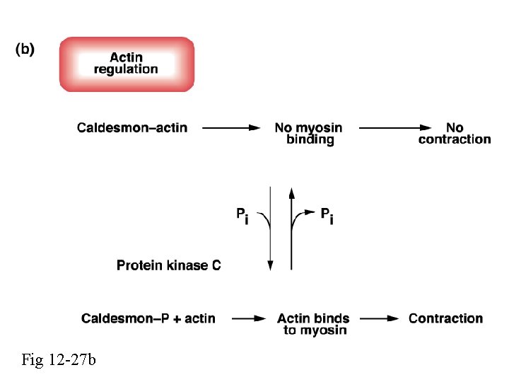 Fig 12 -27 b 