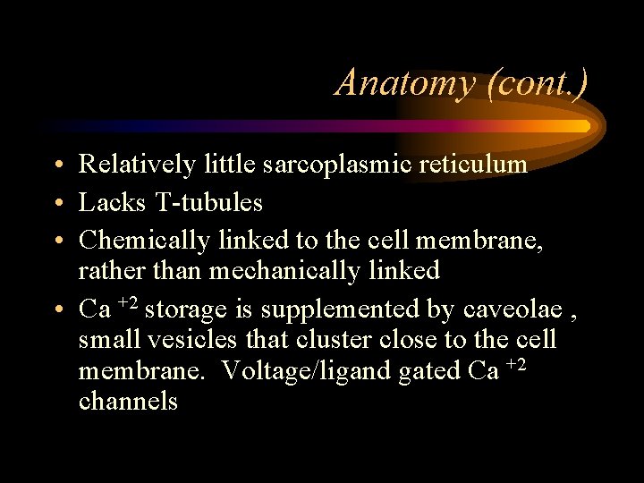 Anatomy (cont. ) • Relatively little sarcoplasmic reticulum • Lacks T-tubules • Chemically linked