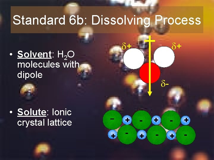 Standard 6 b: Dissolving Process + • Solvent: H 2 O molecules with dipole