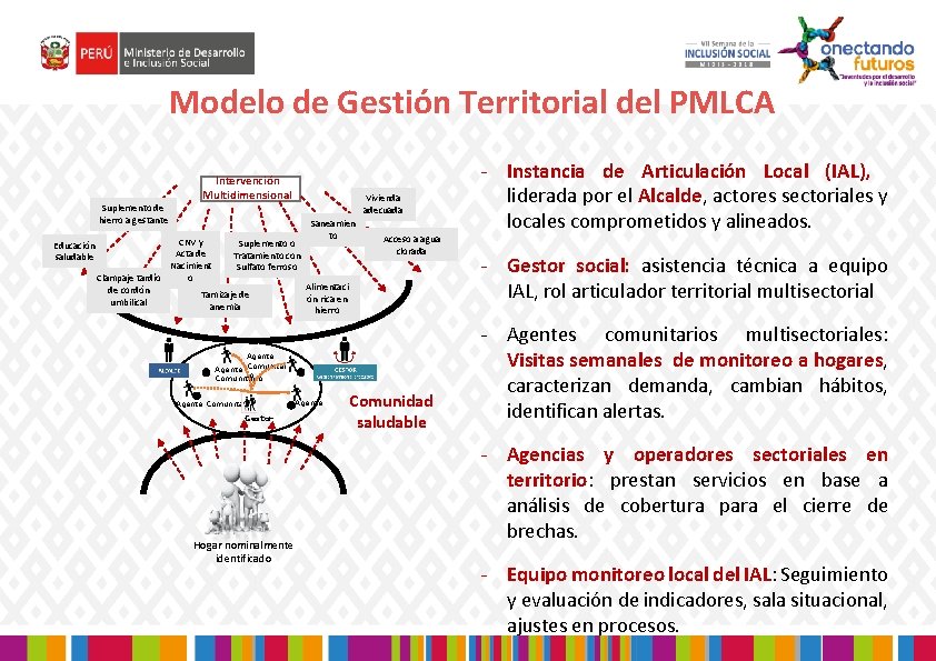 Modelo de Gestión Territorial del PMLCA Suplemento de hierro a gestante Educación saludable Intervención