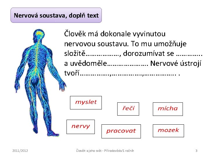 Nervová soustava, doplň text Člověk má dokonale vyvinutou nervovou soustavu. To mu umožňuje složitě………………,