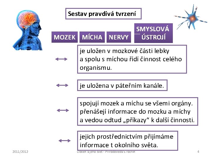 Sestav pravdivá tvrzení MOZEK MÍCHA NERVY SMYSLOVÁ ÚSTROJÍ je uložen v mozkové části lebky