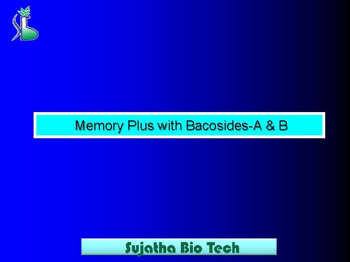 Memory Plus with Bacosides-A & B 