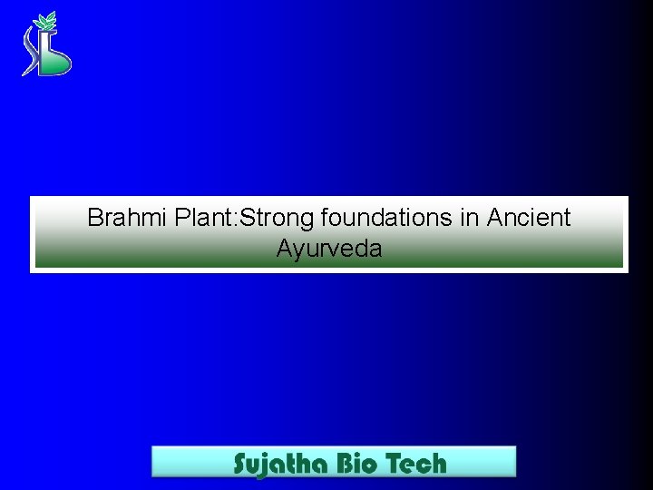 Brahmi Plant: Strong foundations in Ancient Ayurveda 