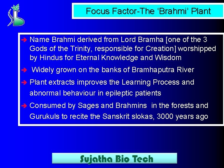 Focus Factor-The ‘Brahmi’ Plant è Name Brahmi derived from Lord Bramha [one of the
