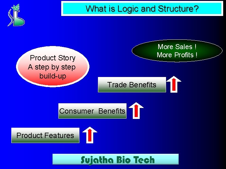 What is Logic and Structure? More Sales ! More Profits ! Product Story A