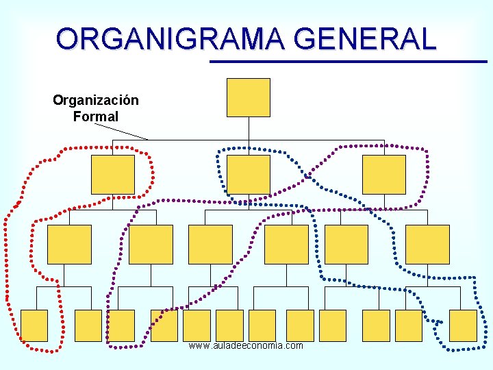 ORGANIGRAMA GENERAL Organización Formal www. auladeeconomia. com 
