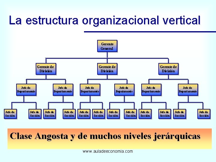 La estructura organizacional vertical Gerente General Gerente de División Jefe de Departamento Jefe de