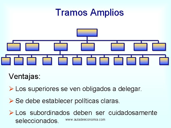 Tramos Amplios Ventajas: Ø Los superiores se ven obligados a delegar. Ø Se debe