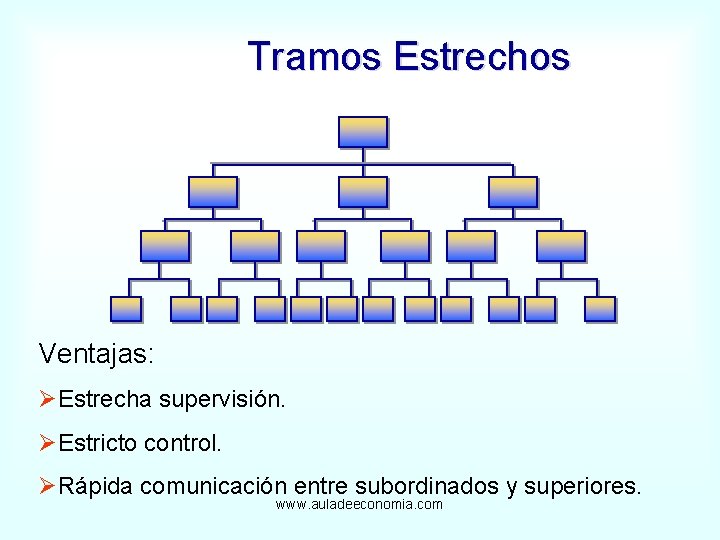 Tramos Estrechos Ventajas: ØEstrecha supervisión. ØEstricto control. ØRápida comunicación entre subordinados y superiores. www.