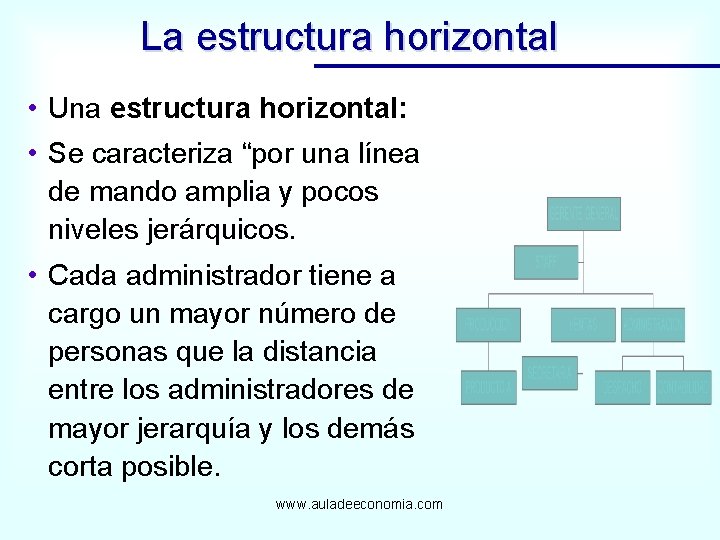 La estructura horizontal • Una estructura horizontal: • Se caracteriza “por una línea de