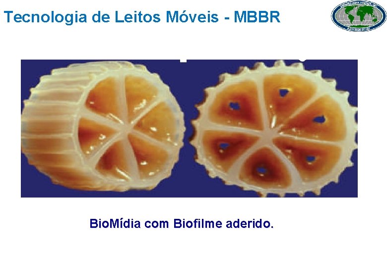 Tecnologia de Leitos Móveis - MBBR Bio. Mídia com Biofilme aderido. 5 