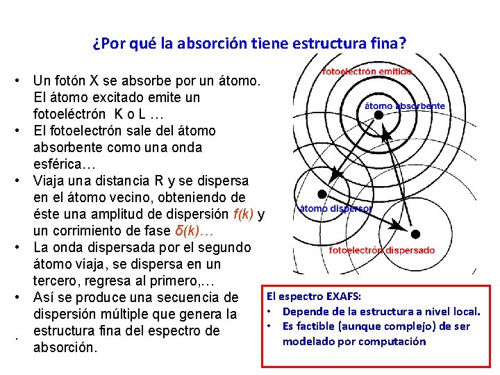 ¿Por qué la absorción tiene estructura fina? • Un fotón X se absorbe por