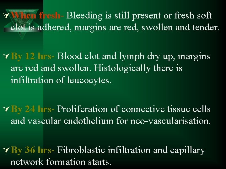 Ú When fresh- Bleeding is still present or fresh soft clot is adhered, margins