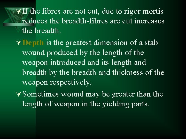 Ú If the fibres are not cut, due to rigor mortis reduces the breadth-fibres