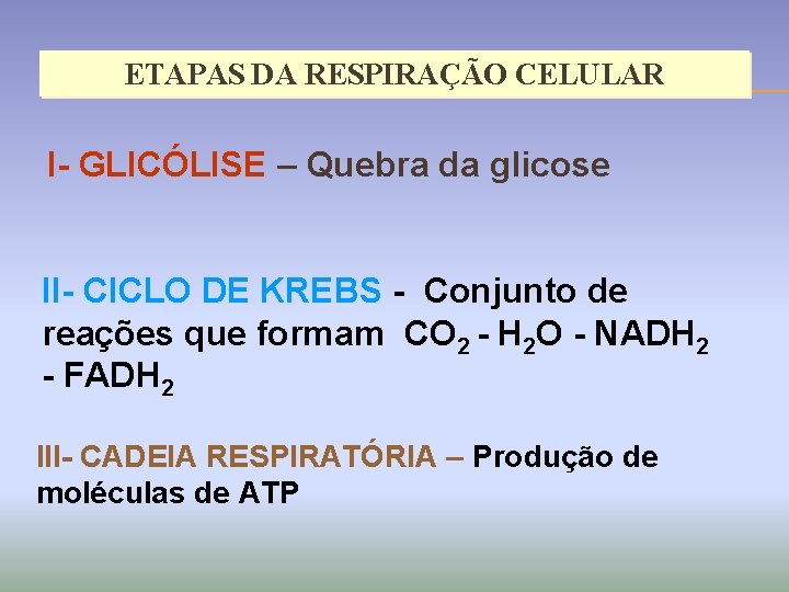 ETAPAS DA RESPIRAÇÃO CELULAR I- GLICÓLISE – Quebra da glicose II- CICLO DE KREBS