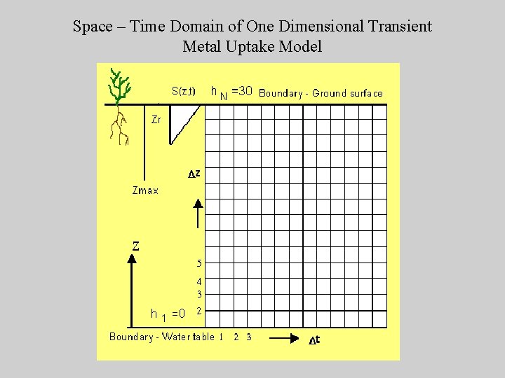 Space – Time Domain of One Dimensional Transient Metal Uptake Model 