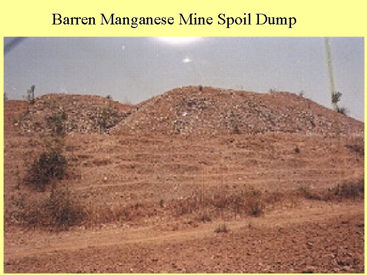 Barren Manganese Mine Spoil Dump 