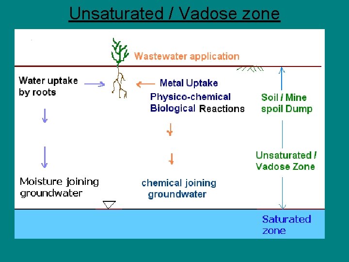 Unsaturated / Vadose zone 