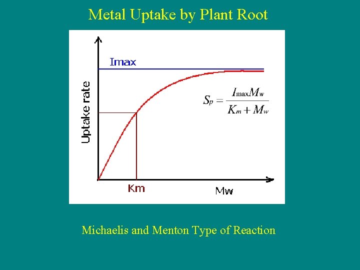 Metal Uptake by Plant Root Michaelis and Menton Type of Reaction 