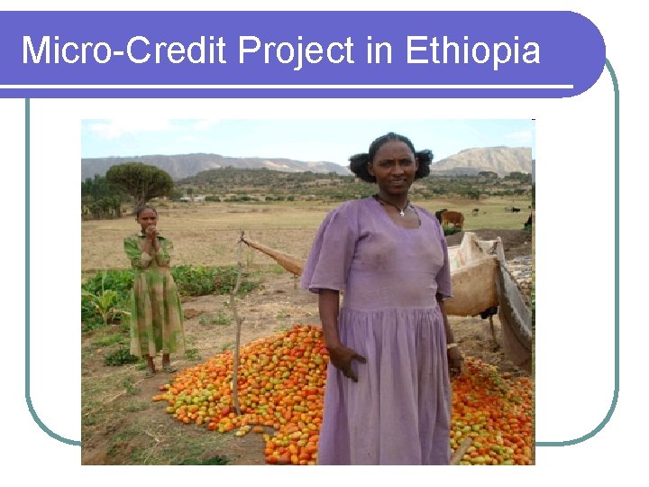 Micro-Credit Project in Ethiopia 