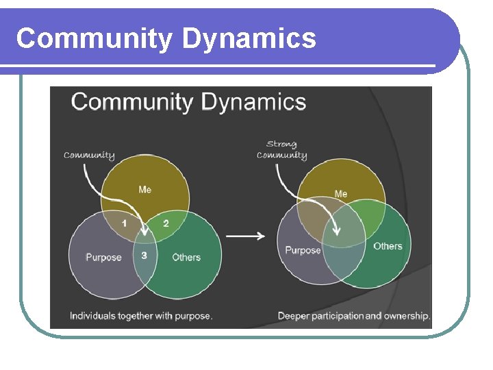 Community Dynamics 