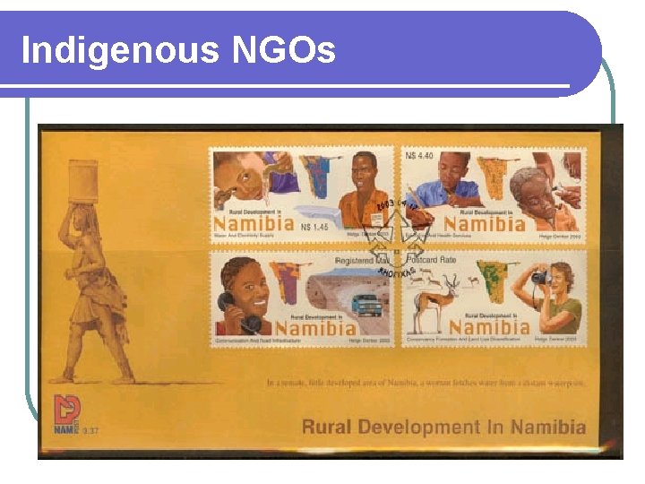 Indigenous NGOs 