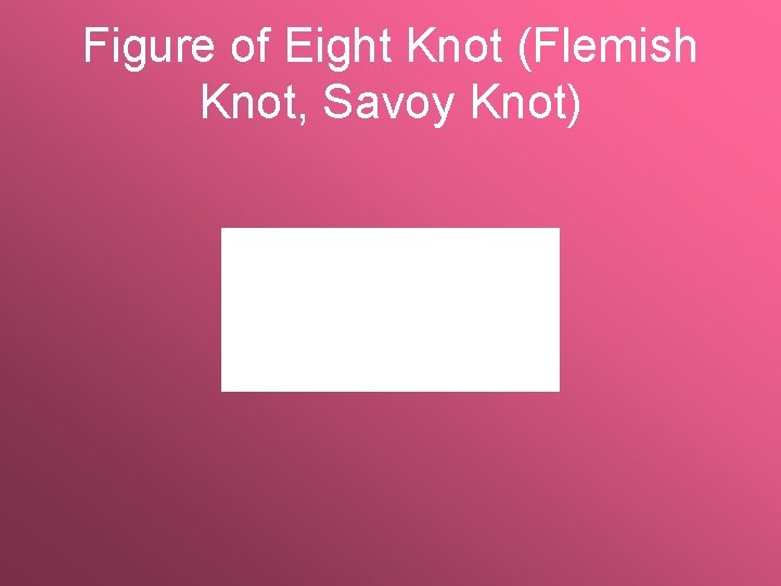Figure of Eight Knot (Flemish Knot, Savoy Knot) 
